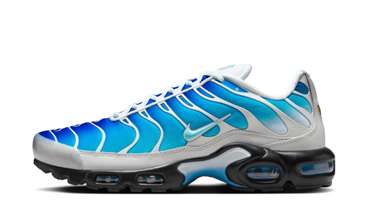 Nike Air Max Plus TN One Block Down Light Photo Blue