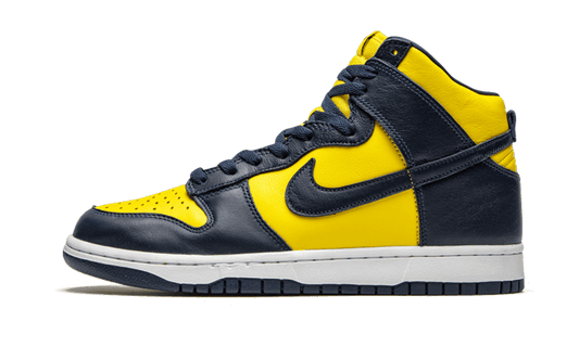 Nike Dunk High Michigan 2020